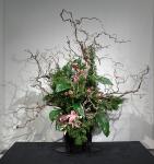 02 - Mitsugi Kikuchi -- Embassy of Japan.jpg 5.1K